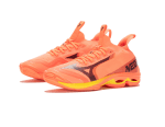 Chaussure indoor Mizuno wave lightning Neo2 handball / Volleyball